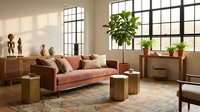 Warm mid-century modern living room with terracotta sofa, wooden furniture, potted plants, and natural light from large windows, suitable for interior design and home decor projects.