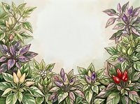 Botanical illustration of ornamental flowering plants with purple and red blooms arranged along bottom border, green foliage, cream background. Suitable for garden design, botanical prints, stationery.