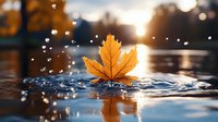 Yellow maple leaf floating on rippling water surface with bokeh light effects and water drops at sunset, creating peaceful autumn atmosphere and reflection.