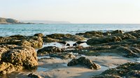 Rocky coastline with tide pools and ocean waves during golden hour creating serene seascape for travel and nature photography projects.