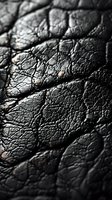 Close-up macro shot of black leather texture showing natural wrinkles, cracks and grain pattern with dramatic lighting and shallow depth of field.
