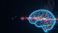 Digital brain with glowing neural networks and circuit board connections on dark background for artificial intelligence and technology concepts.