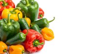 Fresh colorful bell peppers in red, yellow and green varieties isolated on white background for healthy cooking and nutrition concepts.
