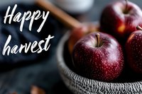 Fresh red apples in rustic bowl with happy harvest text overlay on dark wooden background, selective focus on fruit creates cozy autumn mood.