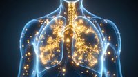 Glowing human respiratory system with luminous golden bronchi and lungs against dark background, medical visualization showing detailed anatomy of breathing organs.
