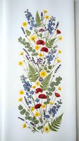 Pressed wildflower arrangement with poppies, lavender, ferns and buttercups on white background for botanical art, herbarium and nature crafts.