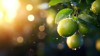 Fresh green apples with water drops on branch against golden sunlight bokeh background, natural organic produce glowing in morning light.
