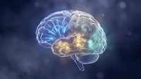Glowing human brain with luminous neural pathways and synaptic activity, representing intelligence, cognition, neuroscience research, and medical education concepts.
