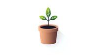 Young green sprout with leaves growing in terracotta pot on white background, isolated eco-friendly gardening concept for sustainable living and growth.