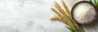 Raw white rice grains in wooden bowl with golden wheat ears and green leaf on light concrete background, top view with copy space for text.