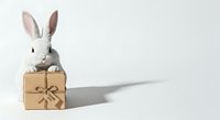 Cute white rabbit sitting on wrapped kraft gift box with twine bow against white background, isolated for design use on merchandise, greeting cards, and promotional materials.