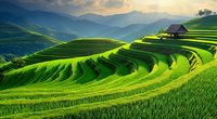 Vibrant green terraced rice fields cascade down mountainside at sunset, wooden hut nestled among curved agricultural layers creates serene rural landscape.