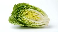 Fresh napa cabbage cut in half showing crisp green leaves and white stem on white background isolated for cooking and healthy eating concepts.