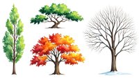 Watercolor trees set showing four seasons cycle from spring green foliage to autumn colors and winter bare branches isolated on white background.