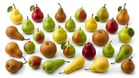 Colorful assortment of fresh pears in various shapes and sizes arranged on white background. Different pear varieties including green, yellow, red and brown.