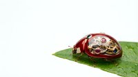 Steampunk mechanical ladybug with brass gears and clockwork parts sitting on green leaf against white background for creative design projects.