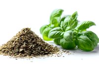 Fresh and dried basil herbs on white background, showcasing culinary ingredients for Mediterranean cooking and food preparation.