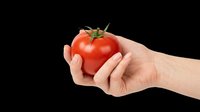 Hand holding a fresh red tomato, isolated on transparent background. Ready for food blogs, stickers, t-shirt design, print on demand, and clipart projects.