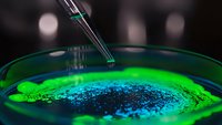 Laboratory pipette dispensing sample into petri dish with glowing green fluorescent bacterial culture for scientific research and microbiological analysis.
