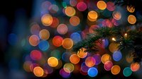 Festive Christmas tree branch with colorful bokeh lights creating magical holiday atmosphere for seasonal decorations and winter celebrations.