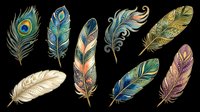 Decorative feathers collection with ornate patterns isolated on transparent background, ready for t-shirt design, clipart, stickers, sublimation and print-on-demand projects.
