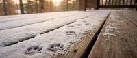 Frost-covered wooden deck with animal paw prints in snow, winter morning landscape with blurred forest background and warm sunlight.
