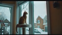 Orange tabby cat sitting on window sill gazing outside at snowy winter neighborhood scene through large glass window, creating peaceful domestic atmosphere.