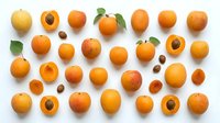Apricots whole and halved with pits arranged on white background, overhead flat lay view for food and culinary design projects.