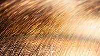 Macro shot of golden brown hair strands with soft focus and natural lighting creating an abstract pattern of flowing lines and highlights. For beauty and haircare marketing.