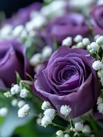 Purple rose bloom with delicate white baby's breath flowers creating romantic floral composition against dark background, suitable for wedding and celebration designs.