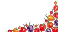 Colorful hot chili peppers border frame on white background with copy space for spicy food design and culinary projects.