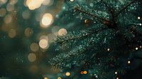 Snowy pine branch with sparkling bokeh lights in dark green background creates magical winter holiday atmosphere. Festive nature macro photography.