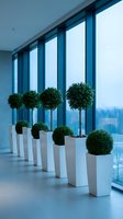Modern office interior with row of white planters containing green topiary plants along floor-to-ceiling windows overlooking city skyline in contemporary workspace.