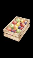 Watercolor wooden crate full of fresh fruits, apples, pears and plums, isolated on transparent background, ready for stickers, clipart, and print on demand.