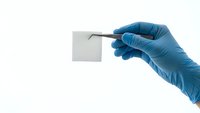 Hand in blue medical glove holding blank white card with tweezers on white background. Laboratory specimen collection and medical testing concept.