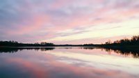 Serene lake at dawn with pink and purple sky reflecting on calm water surface, bare trees lining shoreline, peaceful nature landscape for backgrounds and relaxation content.