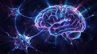 Digital brain with glowing neural networks and synaptic connections in purple and blue neon lights on dark background for neuroscience and AI concepts.