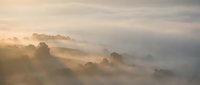 Soft golden sunrise illuminates rolling hills covered in ethereal morning mist creating dreamy atmospheric landscape with warm light rays piercing through fog.