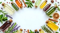 Essential oils collection with herbs and spices arranged in circle on white background for aromatherapy and natural wellness treatments.
