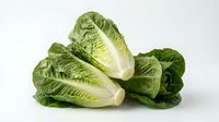 Fresh romaine lettuce heads with crisp green leaves and white stems isolated on white background for healthy cooking and salad preparation.