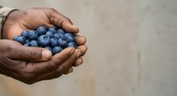 Fresh blueberries held in cupped hands, showcasing organic produce for healthy eating, nutrition, and farm-to-table food concepts.