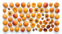 Fresh apricots collection with whole fruits, halves and pits arranged in rows on white background. Organic summer stone fruits for healthy eating.