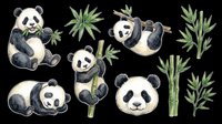 Cute panda bear set with bamboo, isolated on transparent background. Watercolor style clipart for stickers, t-shirt design, print on demand, and sublimation projects.
