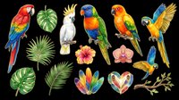 Colorful tropical parrots clipart set with exotic birds, palm leaves, hibiscus flowers, and feathers, isolated on transparent background, ready for stickers, t-shirt design, print on demand.