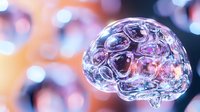 Transparent glass brain model with colorful bokeh lights background showing medical science concept, neurology research and artificial intelligence.