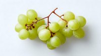 Fresh green grapes cluster with stems isolated on white background for healthy eating concepts and food design projects.