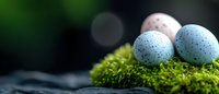 Speckled blue bird eggs nestled in soft green moss with natural bokeh background for spring wildlife and nature themes.