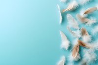Soft white and brown feathers scattered on turquoise background with copy space for text, perfect for spring designs, wellness concepts and natural decor.