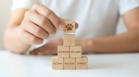 Person building wooden blocks pyramid with paw print symbol representing pet care nutrition wellness vaccines and support services concept.