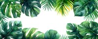 Tropical monstera and palm leaves frame on white background. Fresh green foliage border creates natural exotic composition for summer design projects.